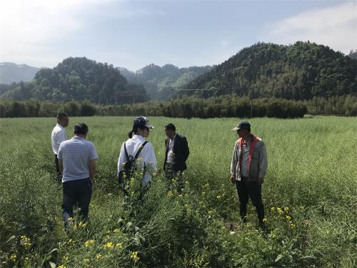 临安区农林技术推广中心严把农业产业项目申报关