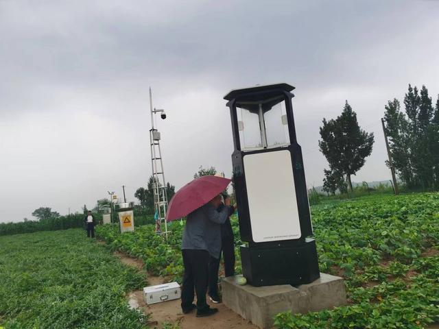 府谷县农业技术推广服务中心:风雨无阻查病虫,精准监测报虫情